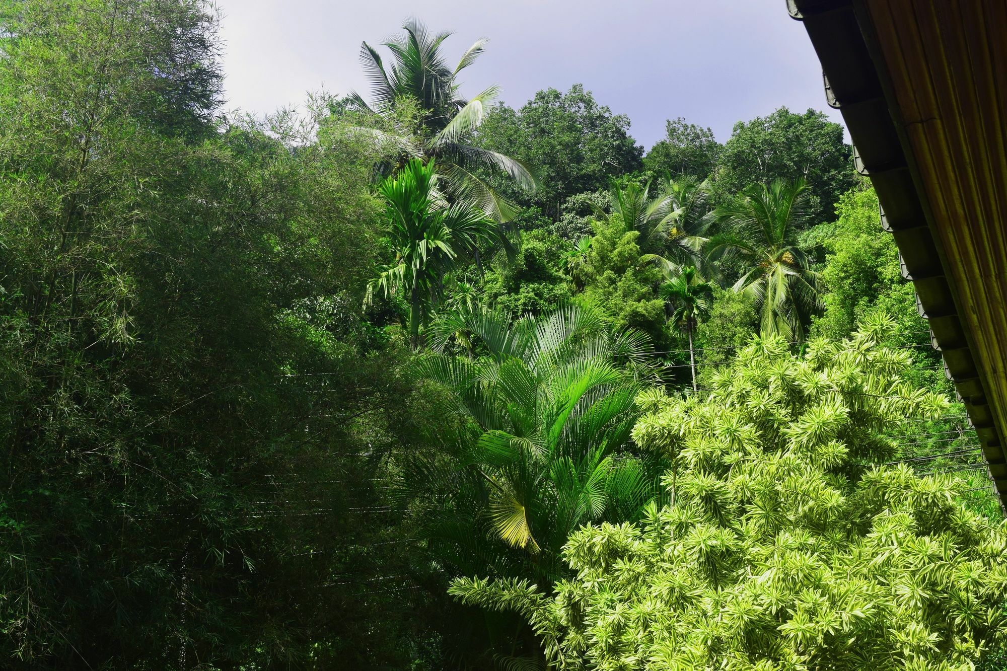 Hotel Avaana By Springhills Kandy Exterior foto