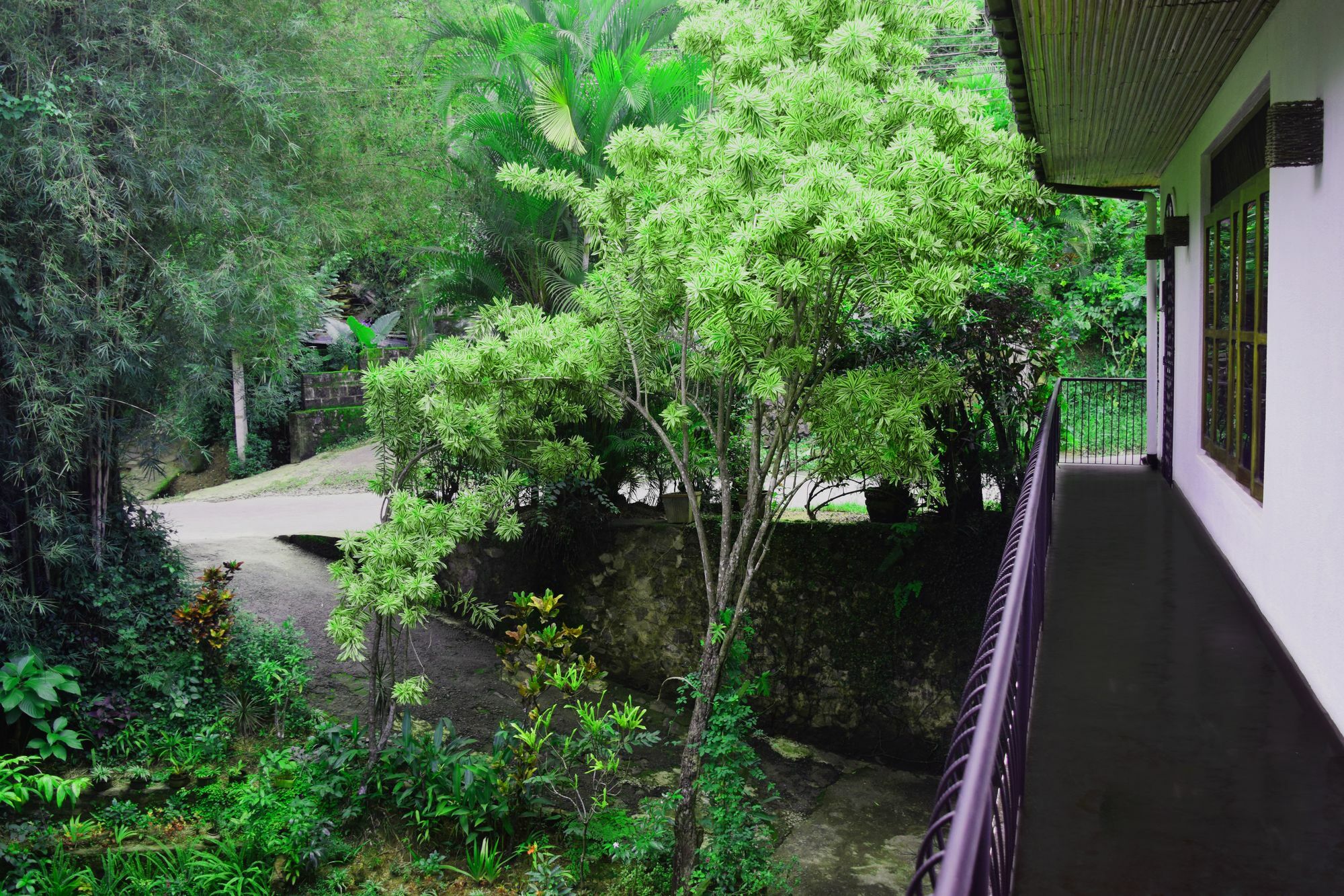 Hotel Avaana By Springhills Kandy Exterior foto